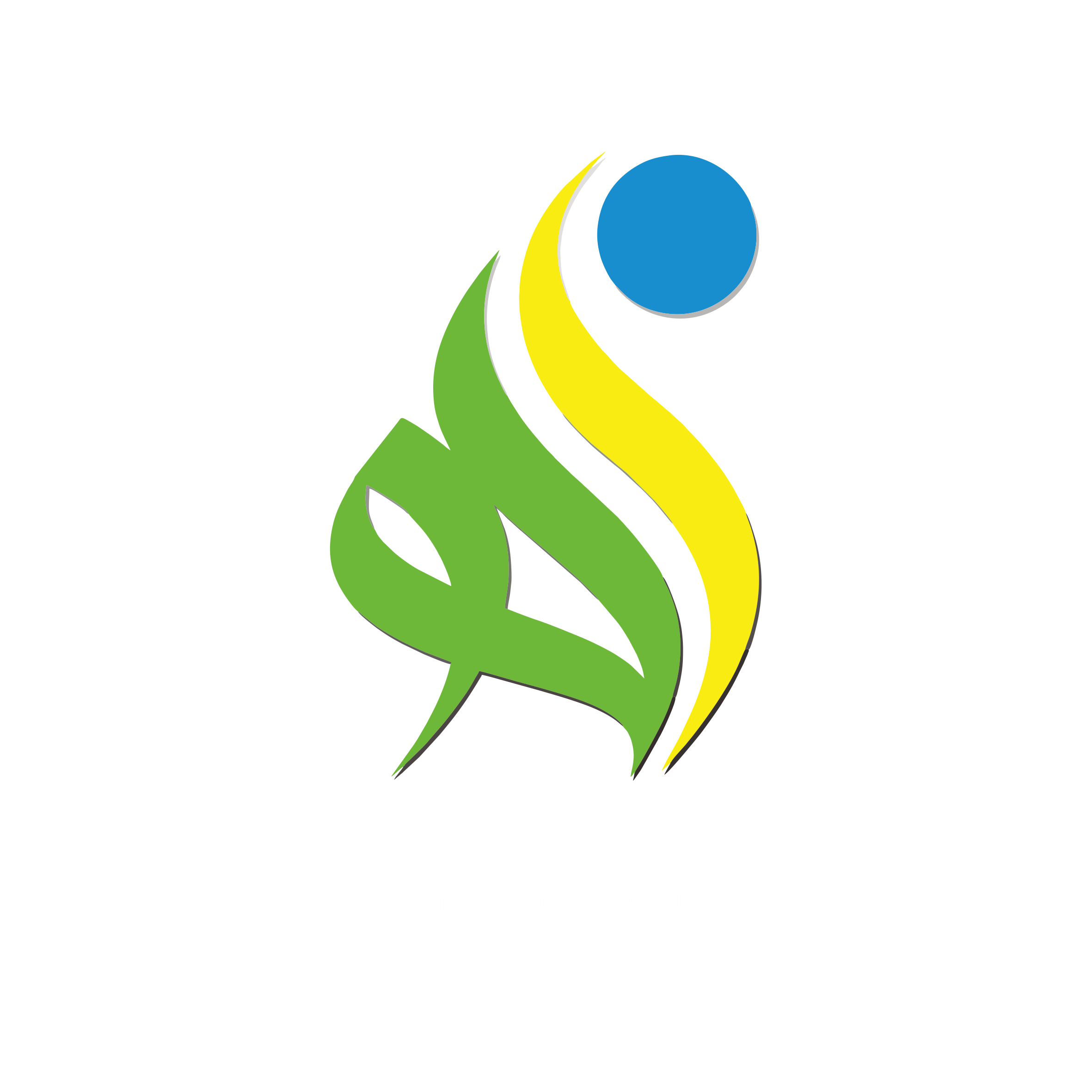 Logo Partner